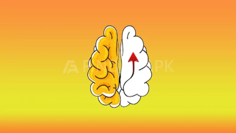 Brain out feature image