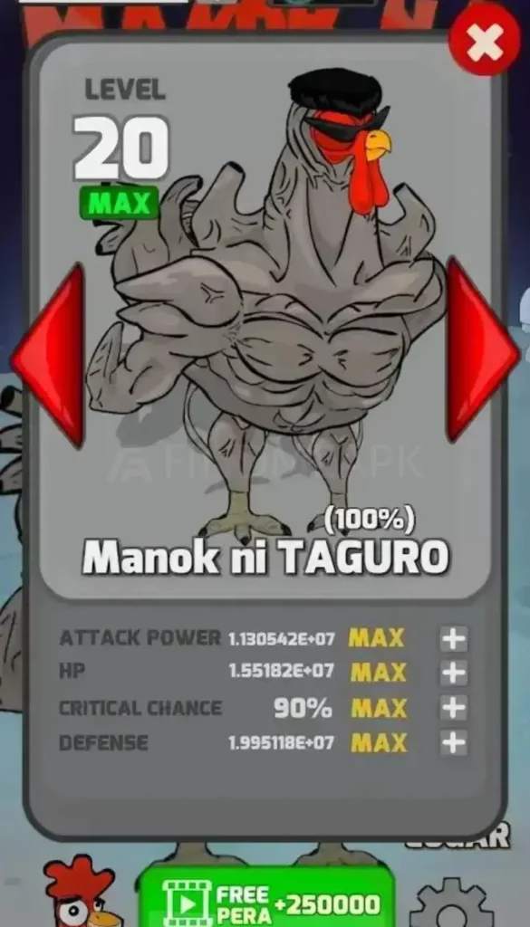 manok 6