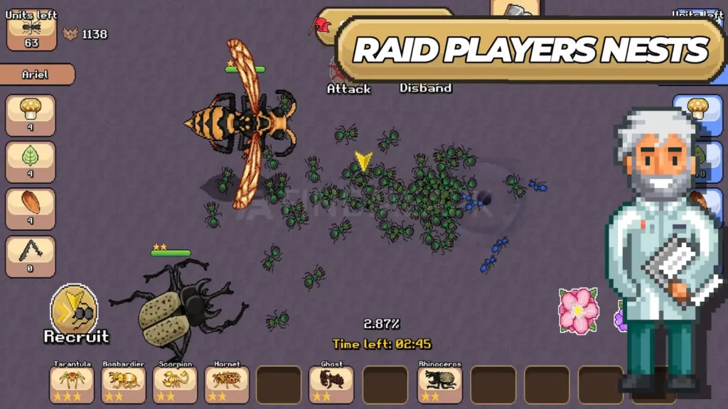 Pocket Ants colony raids