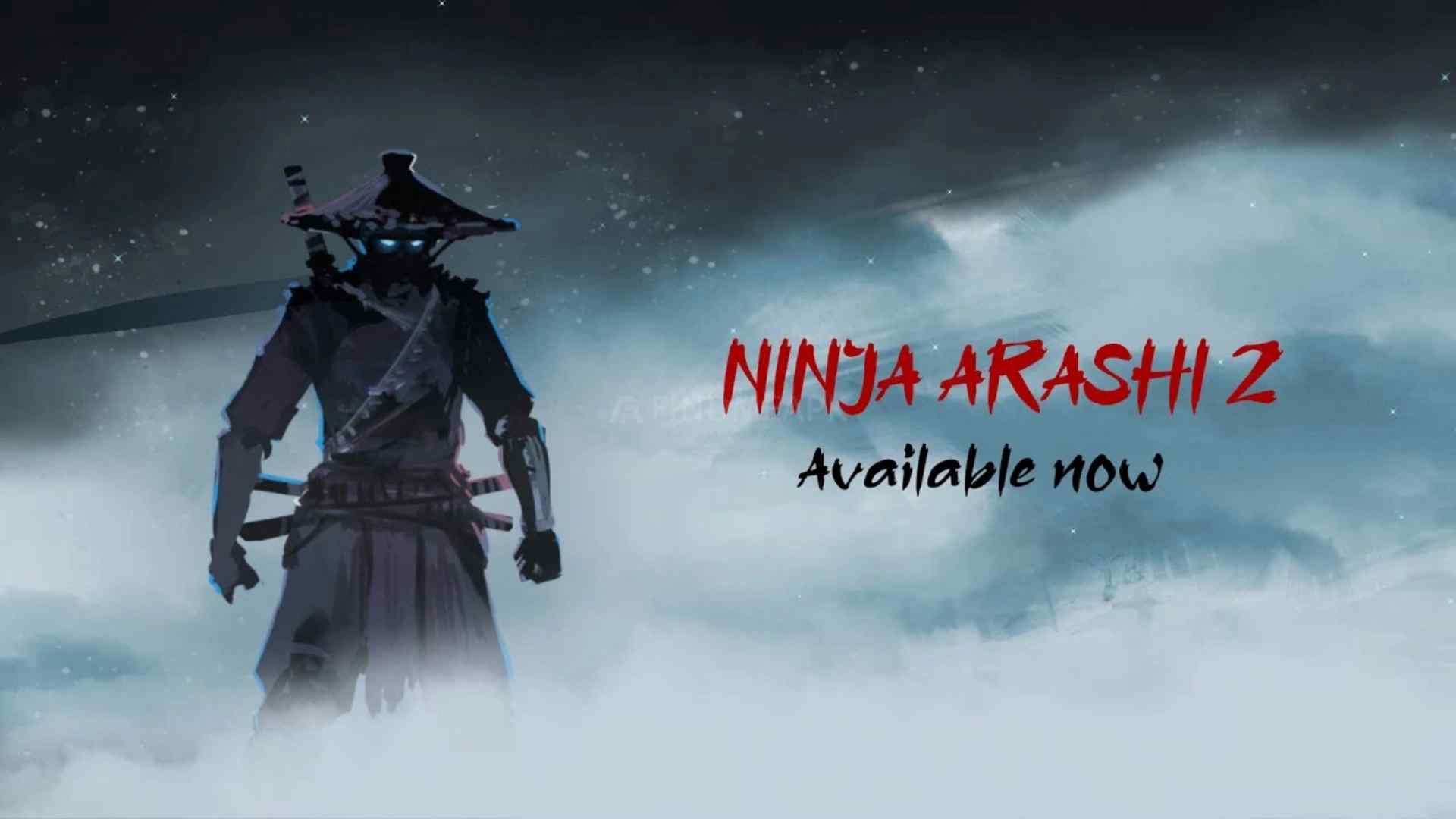 Ninja Arashi 2 Feature Image