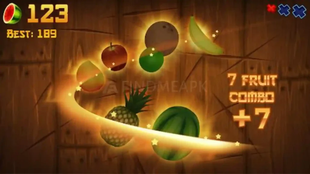 Fruit Ninja MOD APK Game view