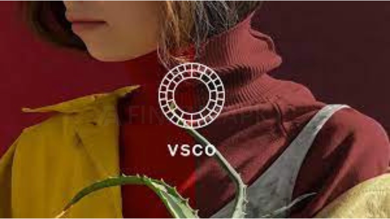 VSCO MOD APK featured image