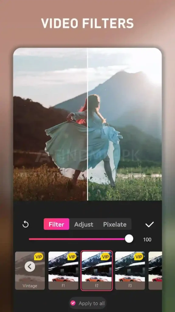 EasyCut Video Filters