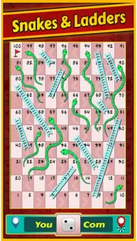 Snakes and Ladders