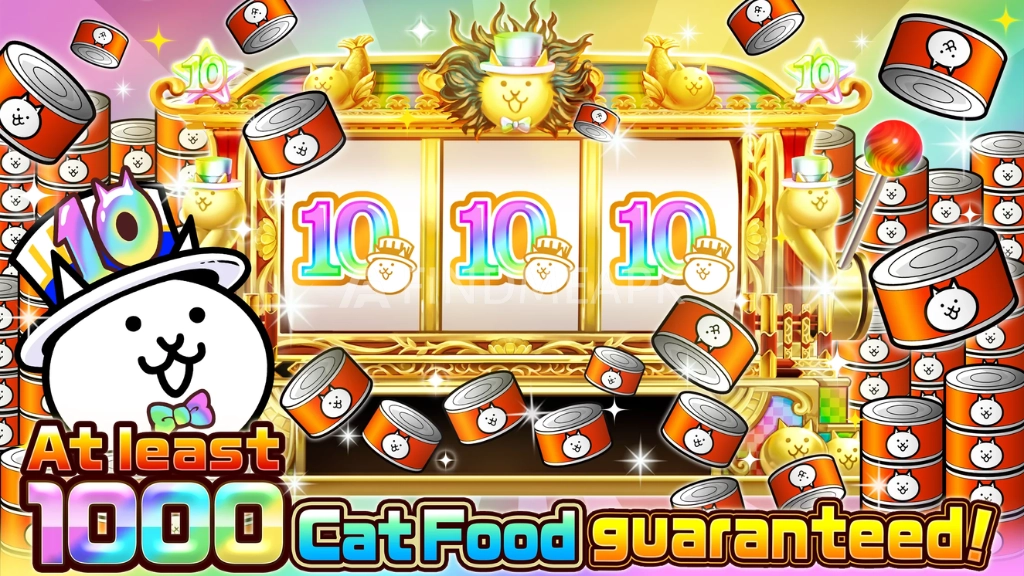 1000 Cat Foods